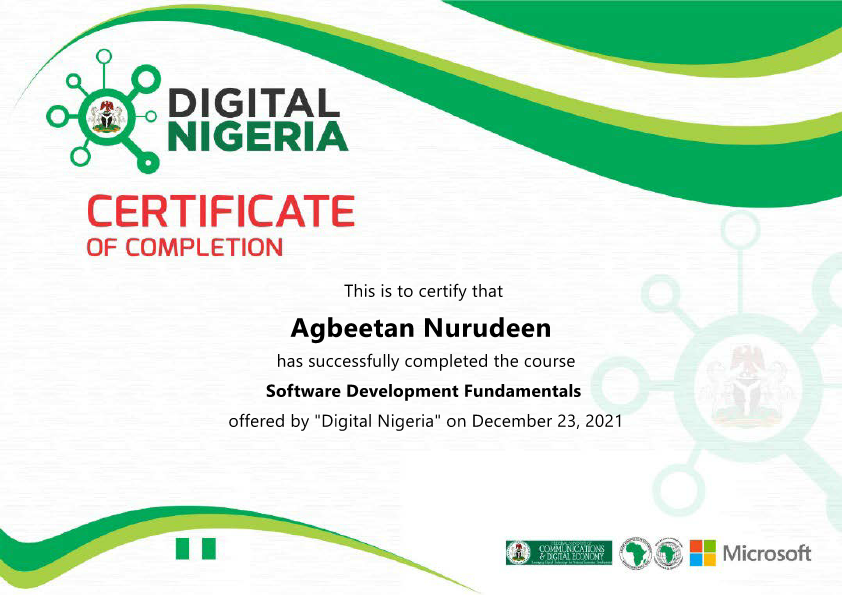 DIGITAL NIGERIA SDF.pdf