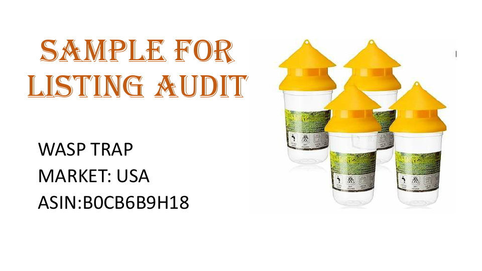 listing audit.pdf