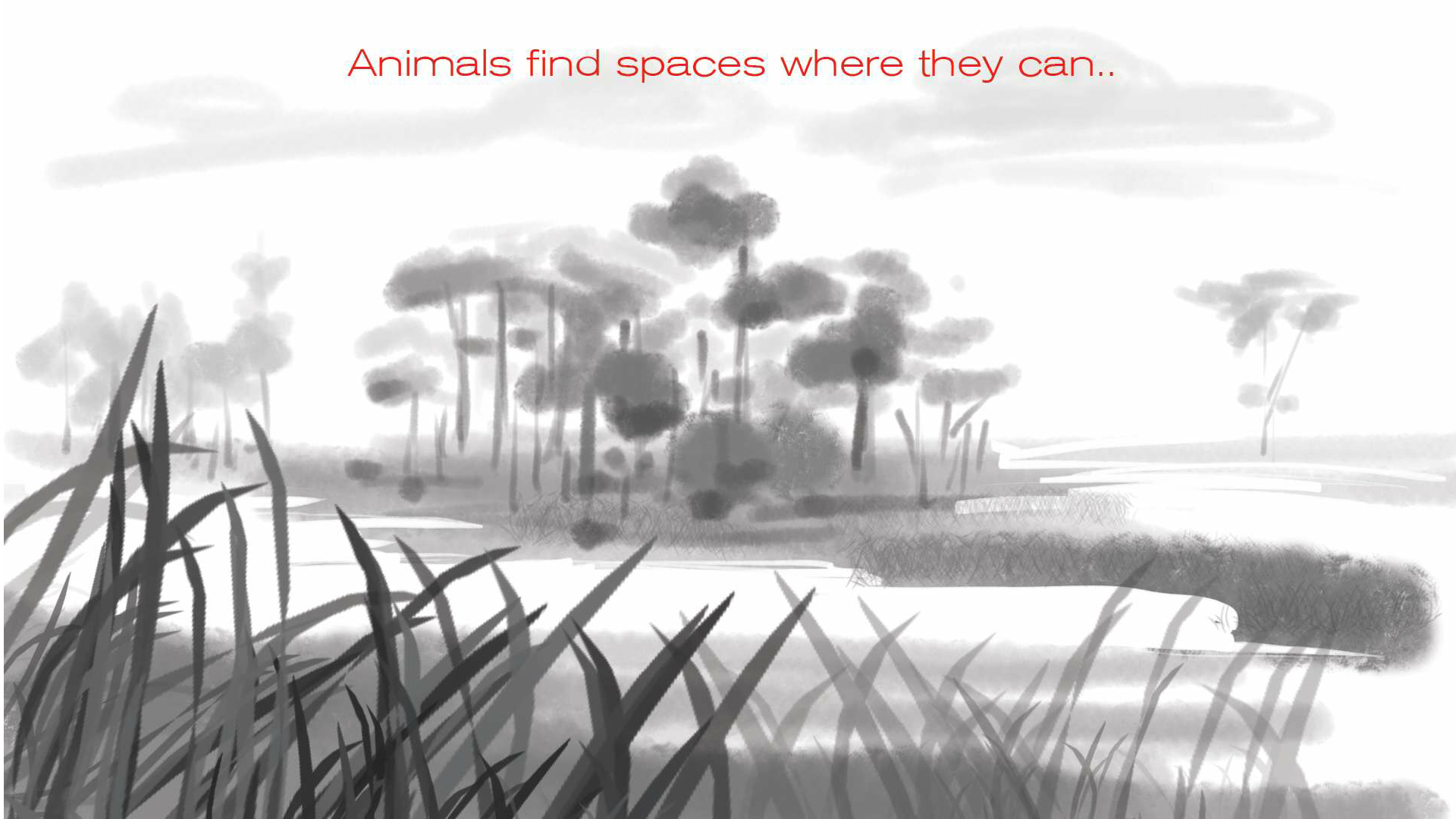 Zlen Ad Storyboard_Adeeb.pdf