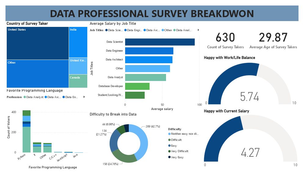 Data Professional Survey Breakdown.pdf
