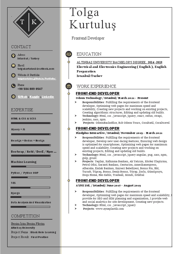 Tolga-Kurtulus-CV.pdf