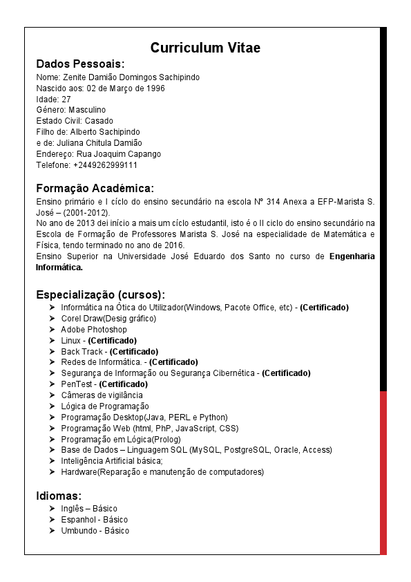 Curriculum Vitae Zenite.pdf