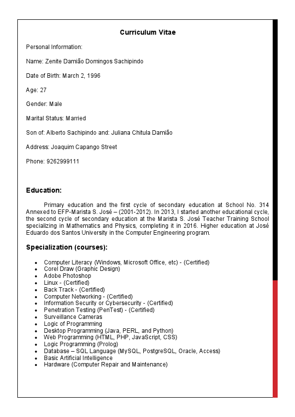 Curriculum Vitae Zenite Inglês.pdf