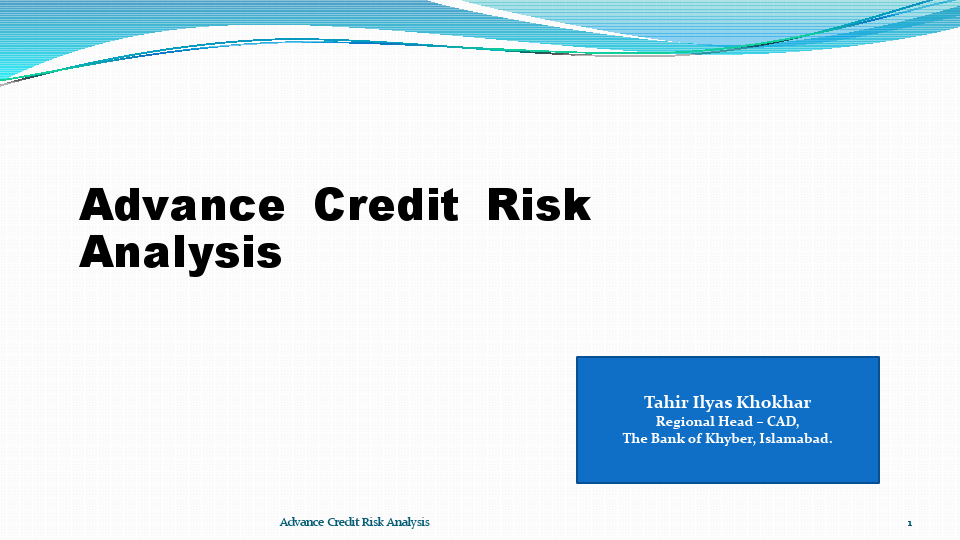 ADVANCED CREDIT RISK ANALYSIS.pdf