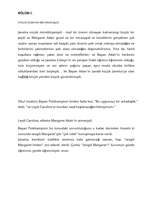 TANSLATION PROJECTS TURKEY (1).pdf
