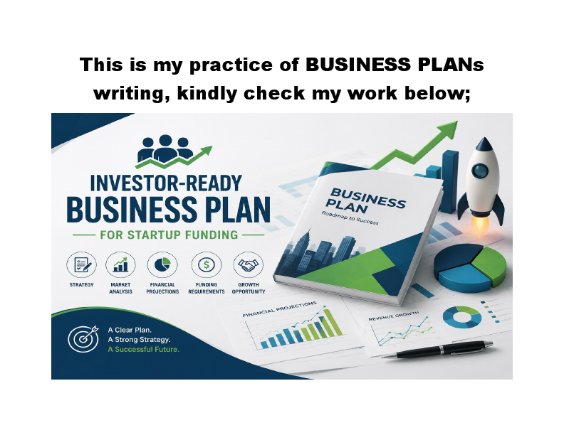 My PRACTICE - BUSINESS PLANS WRITING.pdf