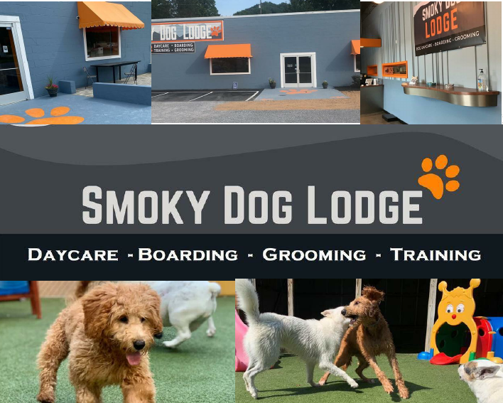 Pitch Deck - Pet Daycare Centre - USA.pdf