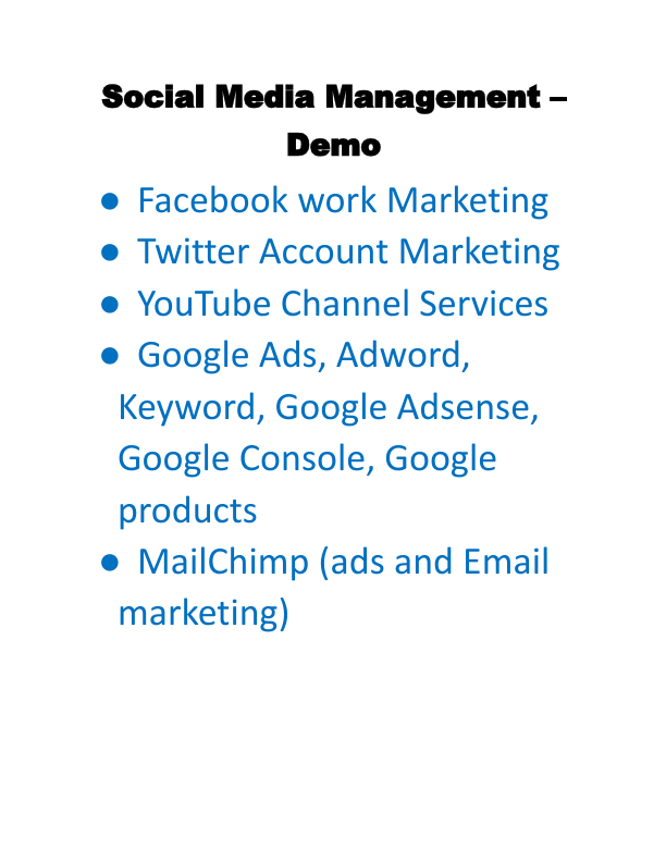 Social Media Management work - Demo.pdf