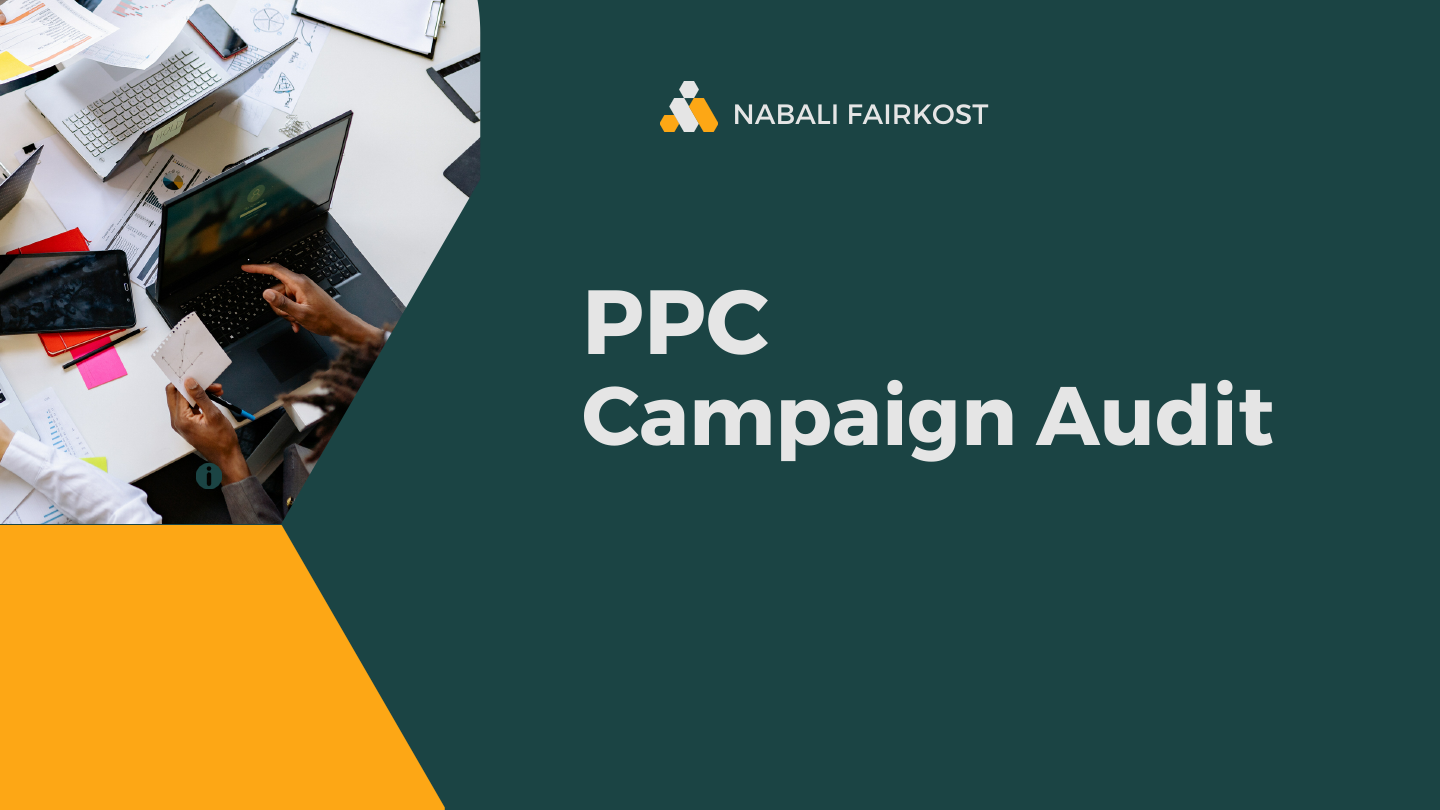 PPC_Campaign_Audit_(1)[1].pdf