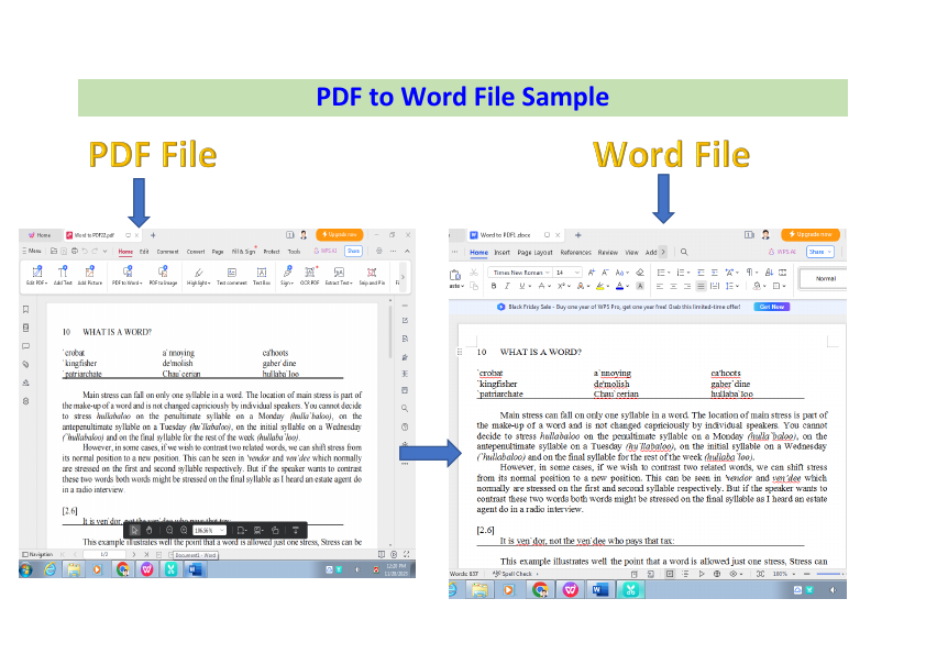 PDF to Word File Sample.pdf