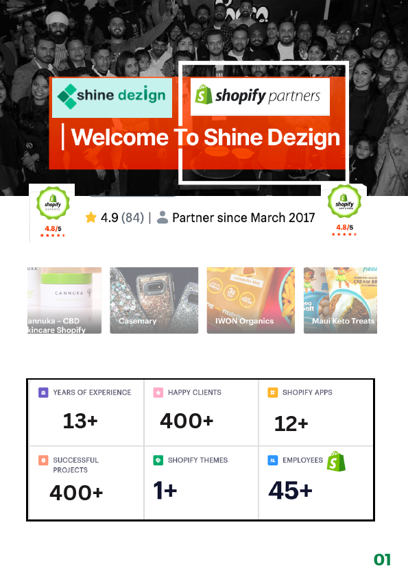 Shopify ShineDezign (2).pdf