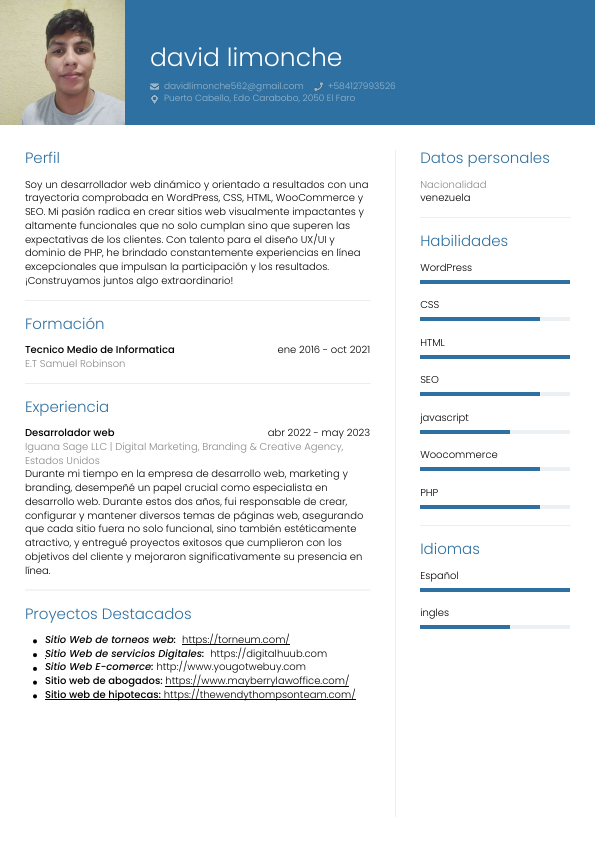 CV david limonche.pdf