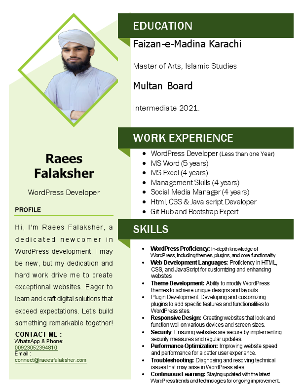 wordpress deveolper.pdf