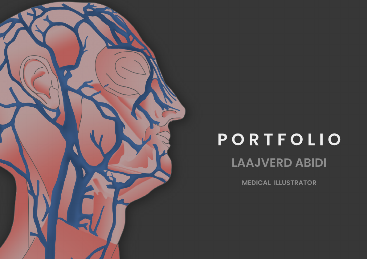 Portfolio_Laajverd Abidi_compressed.pdf