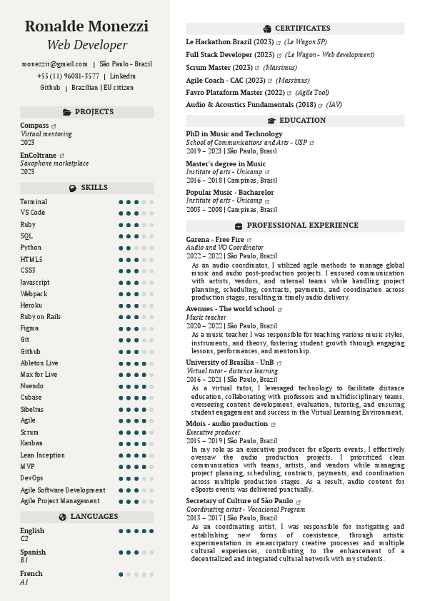 ronalde_monezzi_cv_english.pdf