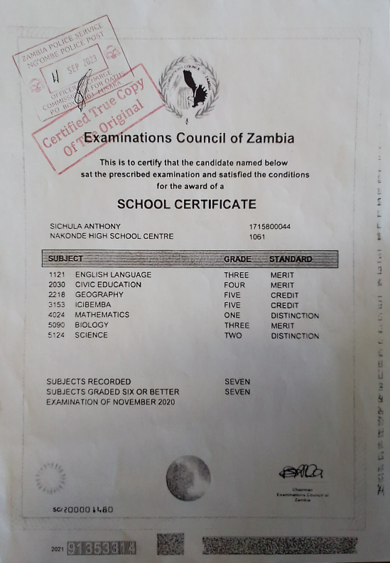 G12_ Certificate.pdf