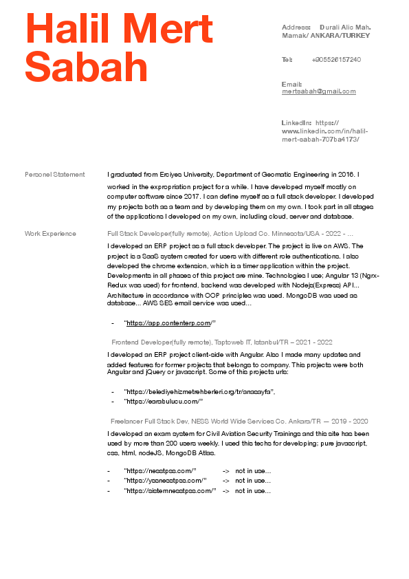 CV(HalilMertSabah) (1).pdf