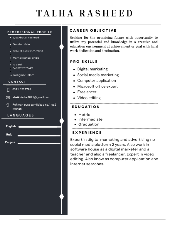 TALHA RASHEED NEW CV.pdf