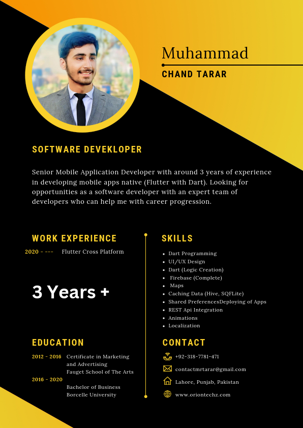 Black and Yellow Geometric Professional CV Resume (1).pdf