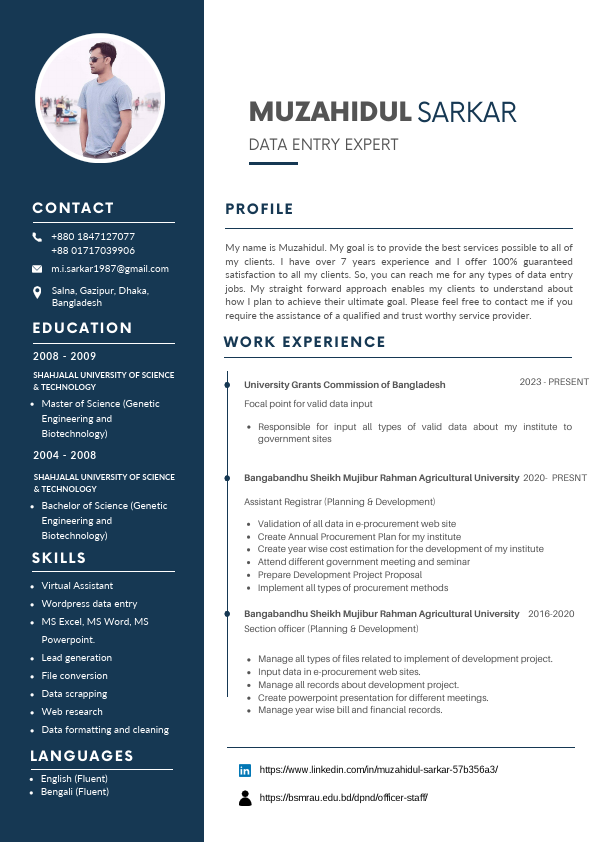 Professional CV Resume.pdf
