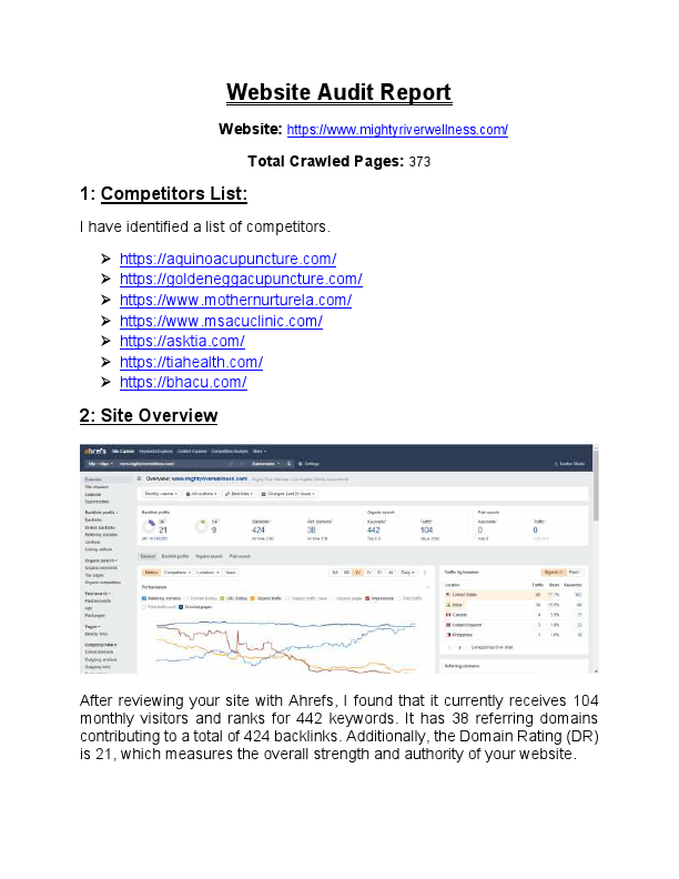 mightyriverwellness.com Website Audit Report.pdf