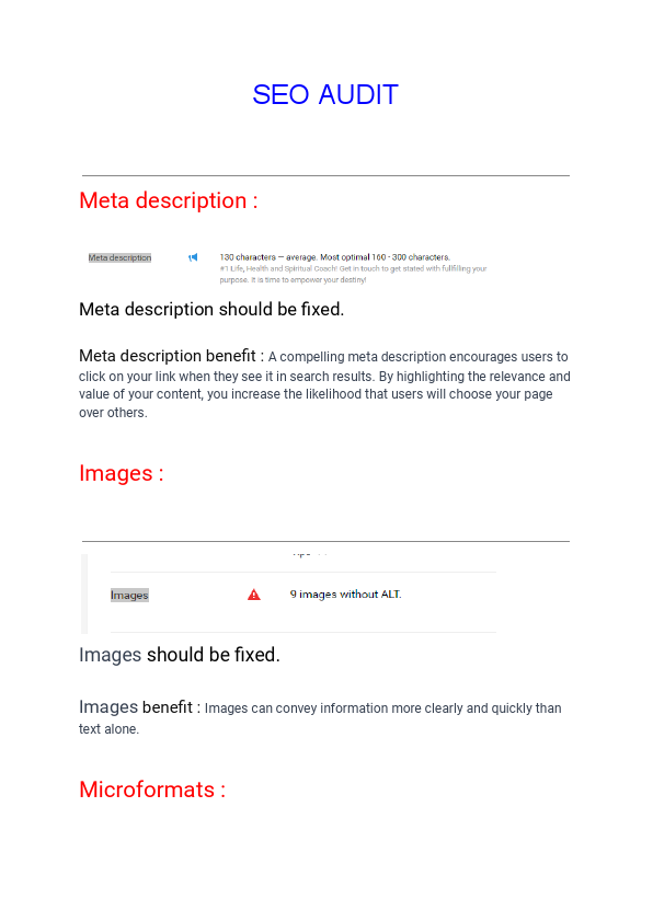 Webdite-Audit-for-https___coachkarenascott.com_.pdf