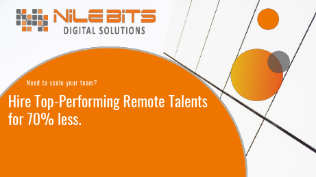 Nile Bits Profile.pdf