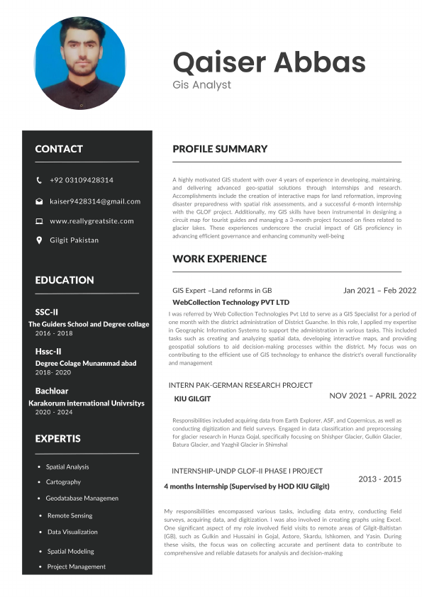 Qaiser Abbas CV canve.pdf