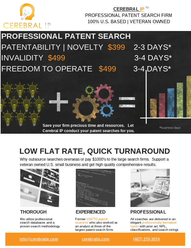 Cerebral IP Patent Search Services.pdf
