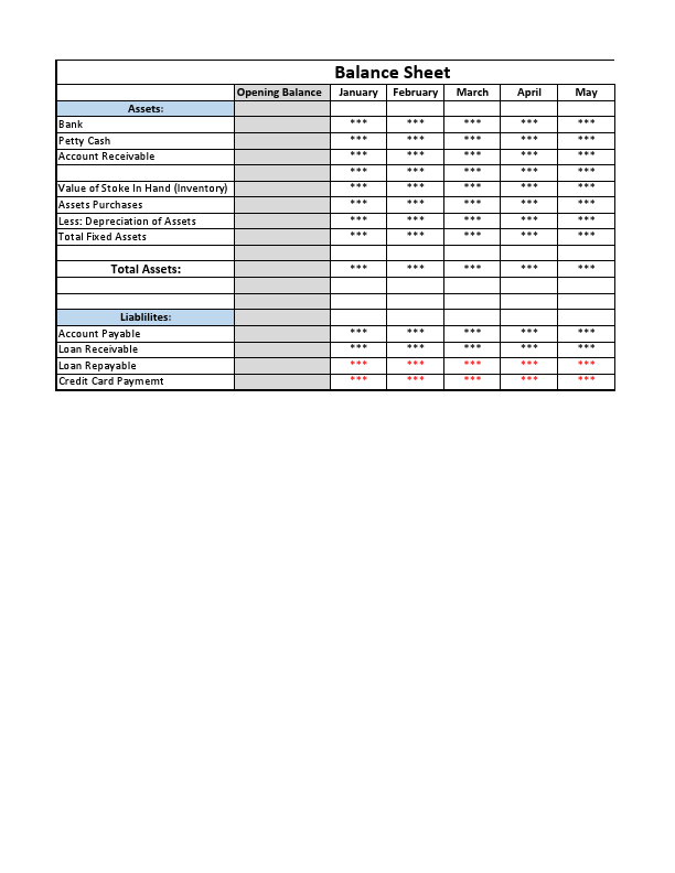 Balance Sheet.pdf