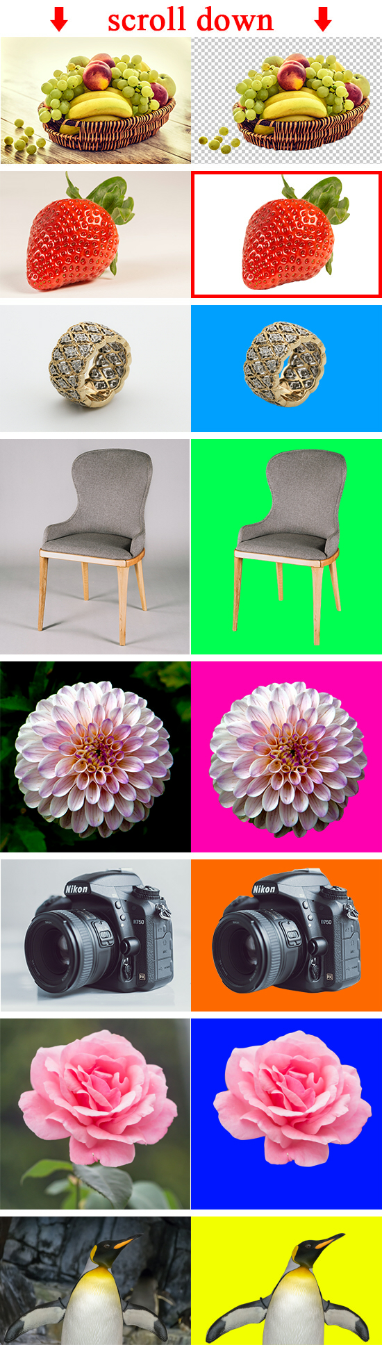 We will do professionally Photoshop editing, clipping path, background removal..pdf