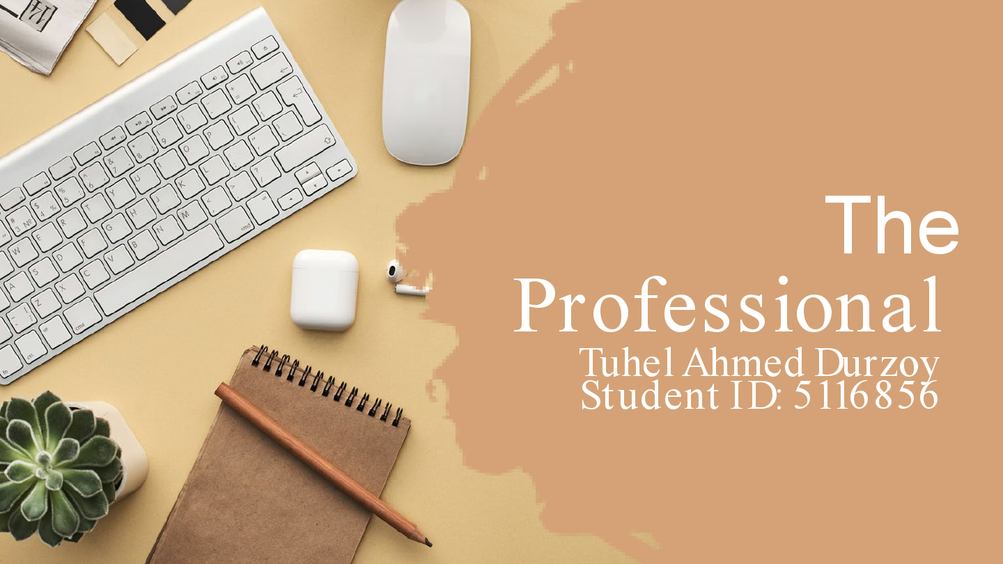 Tuhel The Professional (2).pdf
