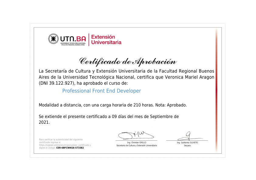 Professinal front end.pdf