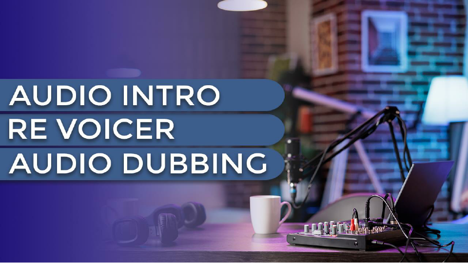 Revoicer details.pdf