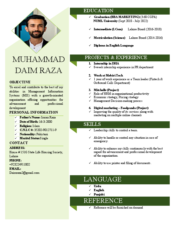 MUHAMMAD DAIM RAZA (CV).pdf
