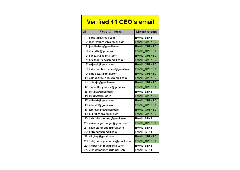 CEO verified Email.pdf
