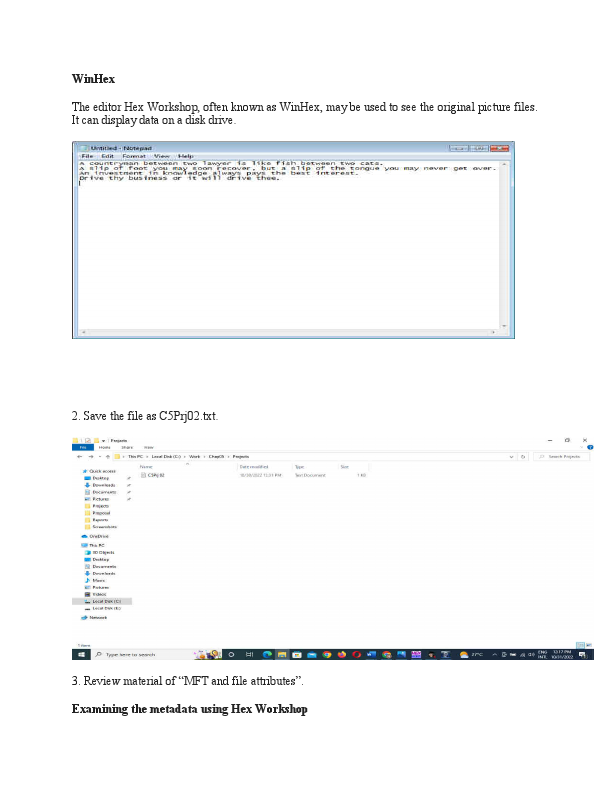 Practical forensic lab report sample.pdf