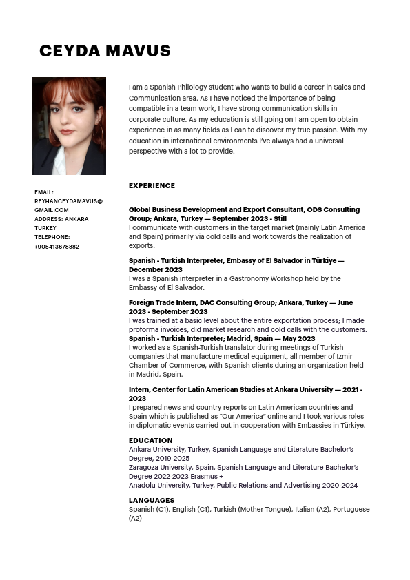 CVINGILIZCE07022024PDF.pdf