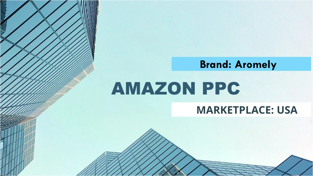 Amazon PPC VA Portfolio.pdf