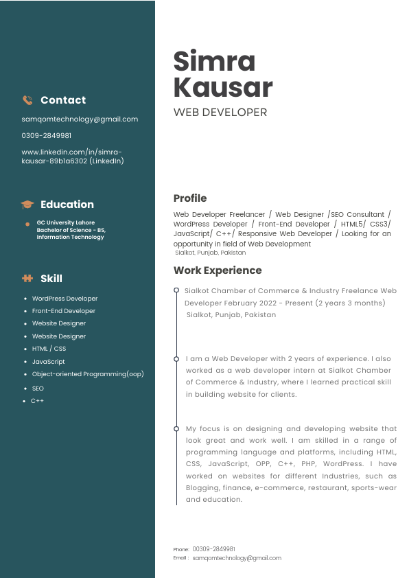Professional CV Resume.pdf