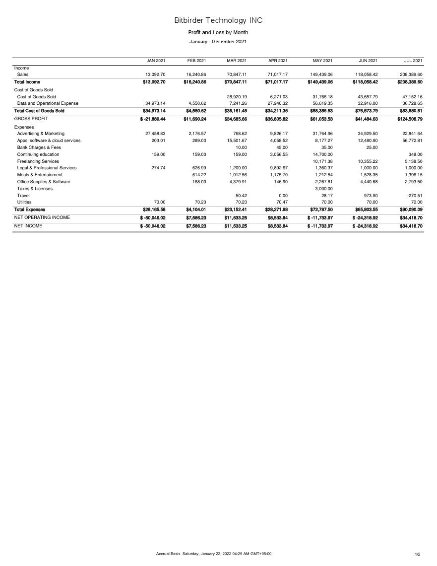 BITBIREDER TEC P & L.pdf