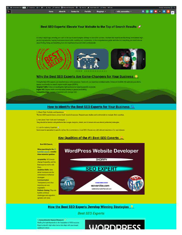 Best SEO Experts go full page pdf_11zon.pdf