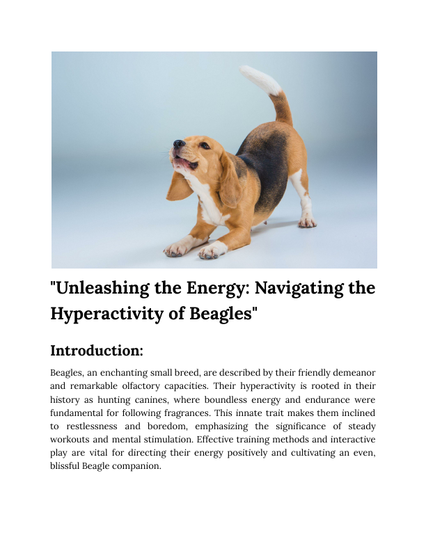 Beagles Hyperactivity.pdf