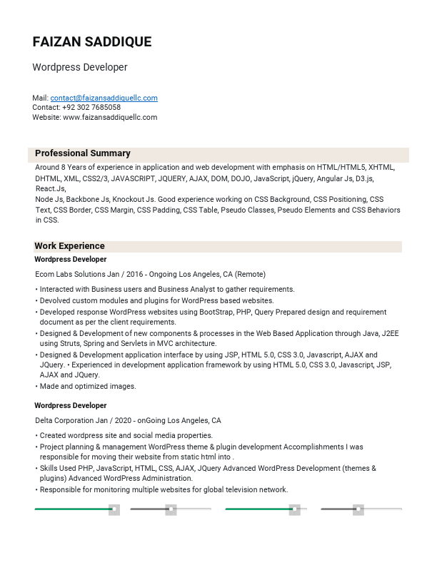wordpress developer cv faizan.pdf