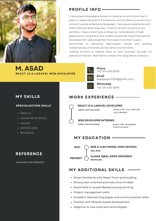 Professional CV.pdf