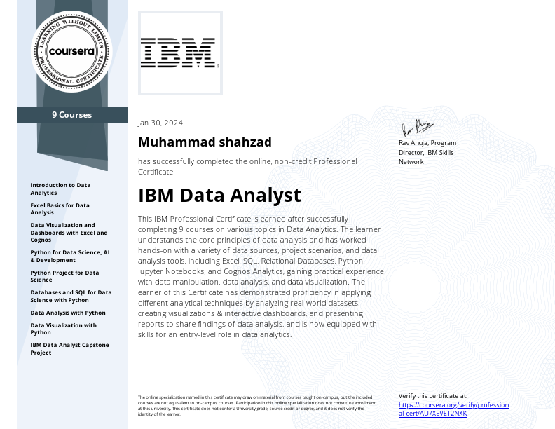 data analyst (1).pdf