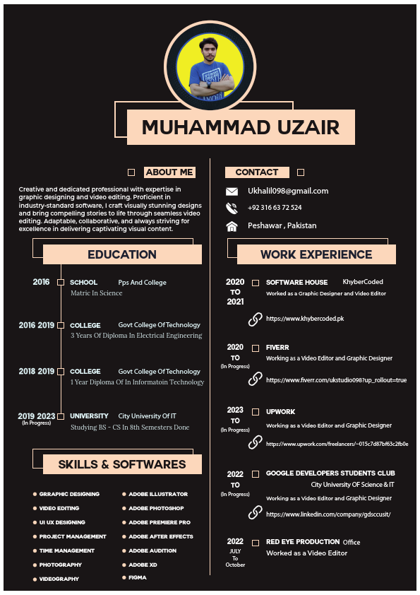 Muhammad Uzair CV.pdf