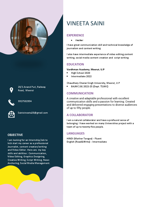 Vineeta_saini_Resume final.pdf