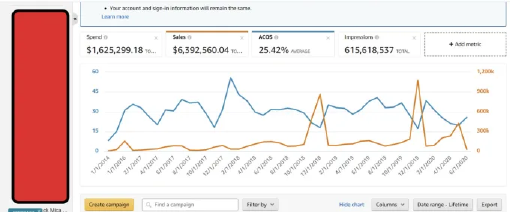 virtual Assistant (1) (1).pdf