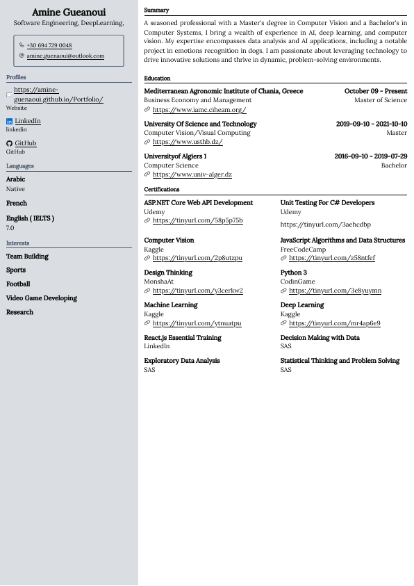 AmineConsultantCV.pdf